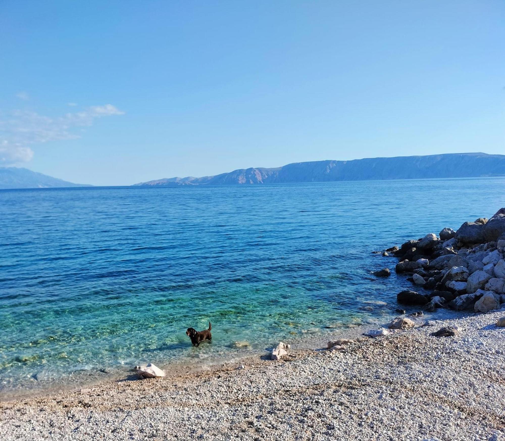 Apartmani Ivana Novi Novi Vinodolski Rum bild